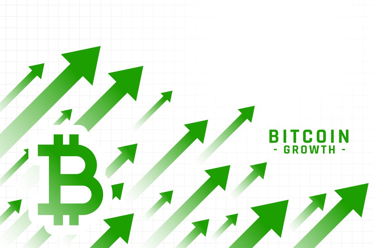 Fiobit - Crypto New