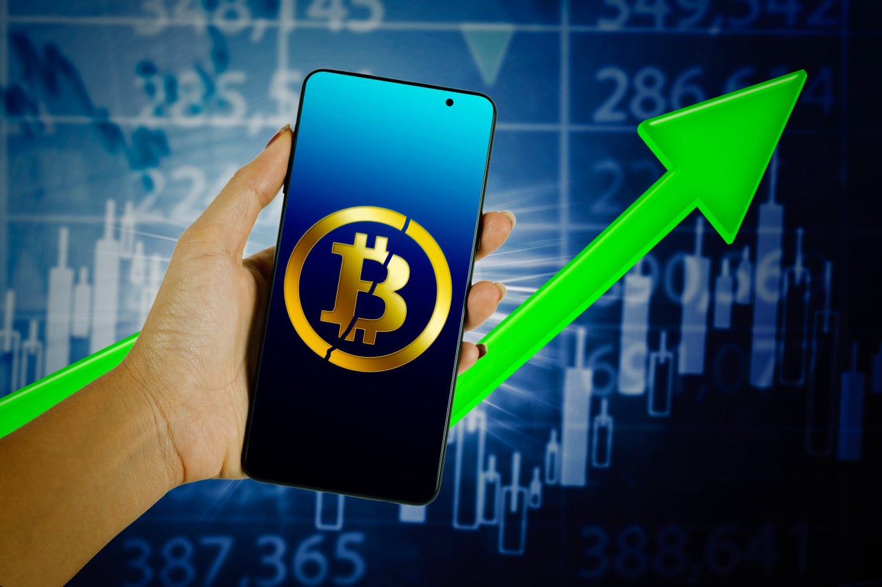 Fiobit - Crypto New